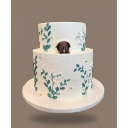 Weiße Torte mit grünem Blattwerk