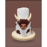 Торт на день народження на замовлення – ремісничий Layer Cake у Bruxelles, Wooly Pâtisserie