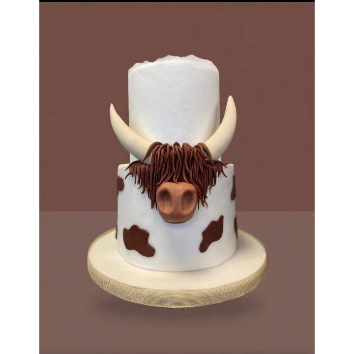 Gâteau d'anniversaire sur mesure – Layer Cake artisanal à Bruxelles, Wooly Pâtisserie