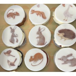 Wooly personalised cupcakes, macarons printed with edible ink