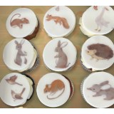 Cupcake-uri personalizate Wooly, discuri comestibile imprimate cu cerneală alimentară