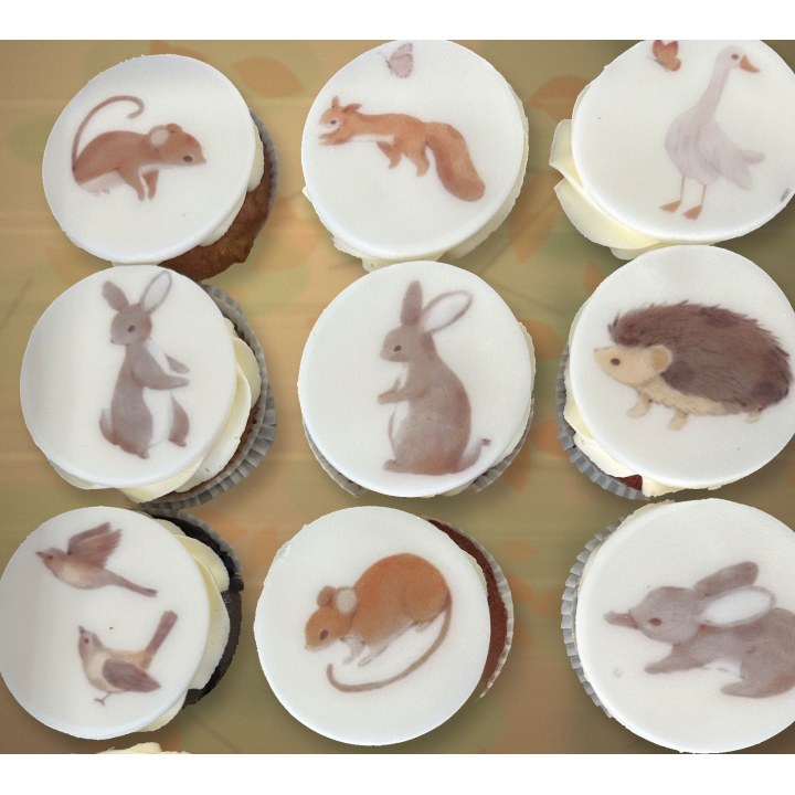 Gepersonaliseerde cupcakes van Wooly, macarons met eetbare inkt