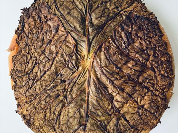 Broa de milho aus Nordportugal, unter einem Kohlblatt gebacken, von oben gesehen