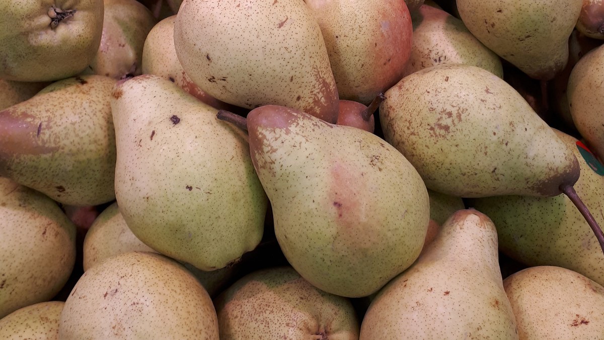 Poires Pêra Rocha vert pâle à la peau piquetée de roux, empilées sur un étal portugais
