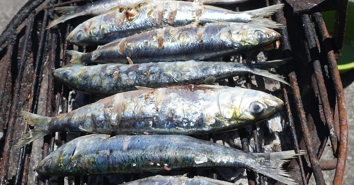 Gegrilde sardientjes op de houtskoolgrill